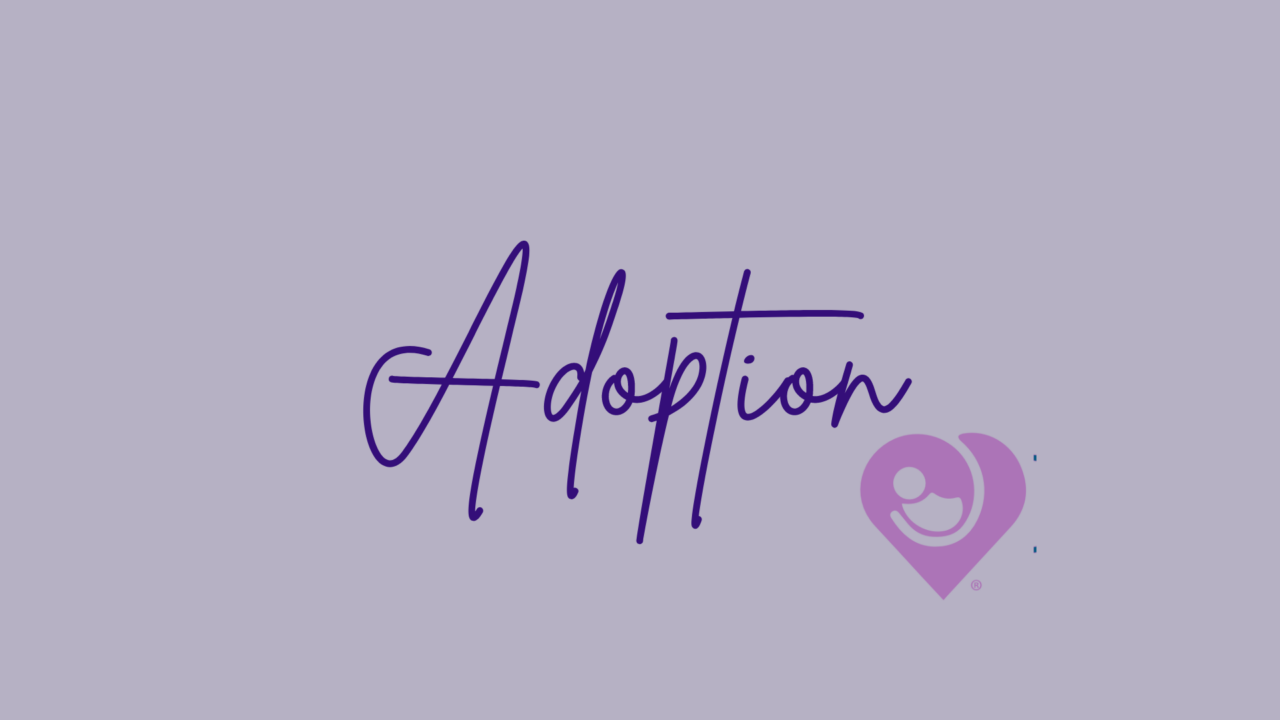 Adoption 3